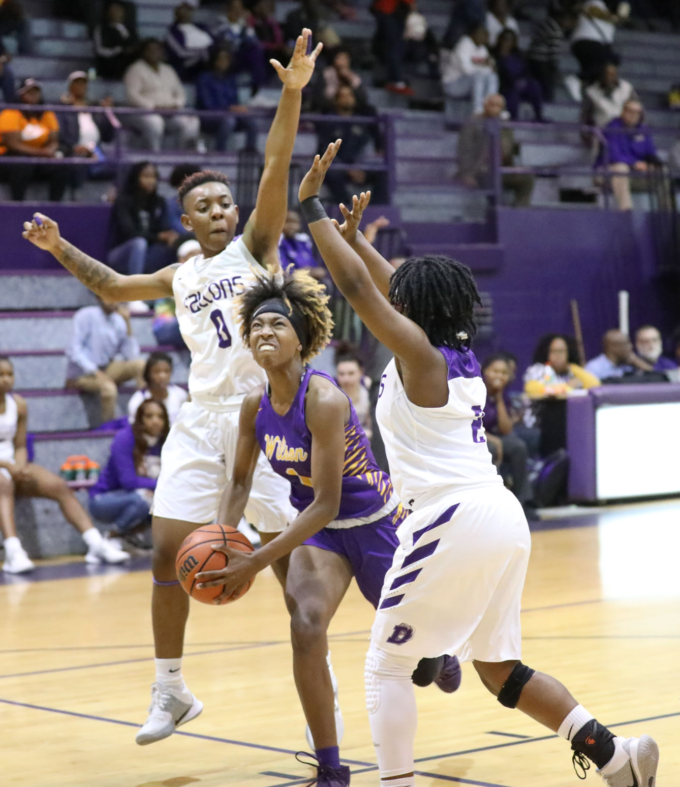 Wilson at Darlington Basketball